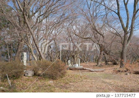 佐和山城本丸跡 137715477