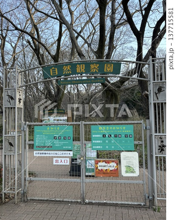 野川公園の自然観察園入口 137715581