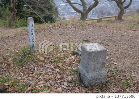 佐和山城跡の三等三角点 佐和山城跡の三等三角点 137715606