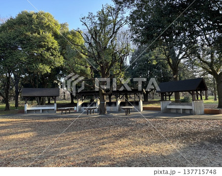 野川公園少年キャンプ広場 野川公園少年キャンプ広場 137715748