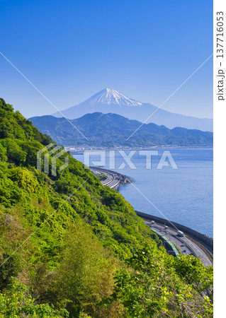 【静岡県】薩埵峠から眺める富士山 137716053