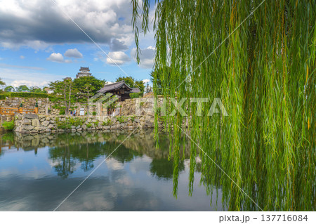 Himeji, Japan - Sep 24 2024, panoramic view through foliage of a tree, at entrance gate, pond with mirrored water, with White Heron Castle on background, at daytime with cloudy sky, Himeji, Japan 137716084