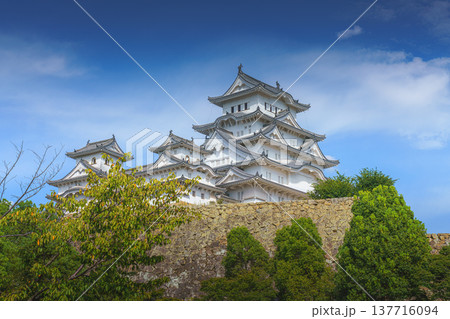 Himeji, Japan - Sep 24 2024, Panoramic view of Himeji Castle, White Heron Castle with trees and plants of park on foreground, at daytime with blue cloudy sky, without people, Himeji, Japan Himeji, Japan - Sep 24 2024, Panoramic view of Himeji Castle, White Heron Castle with trees and plants of park on foreground, at daytime with blue cloudy sky, without people, Himeji, Japan 137716094