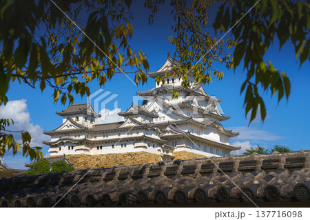 Himeji, Japan - Sep 24 2024, panoramic view of Himeji Castle, White Heron Castle from below, through tree foliage in daytime with blue sky and clouds, without people, Himeji, Japan Himeji, Japan - Sep 24 2024, panoramic view of Himeji Castle, White Heron Castle from below, through tree foliage in daytime with blue sky and clouds, without people, Himeji, Japan 137716098