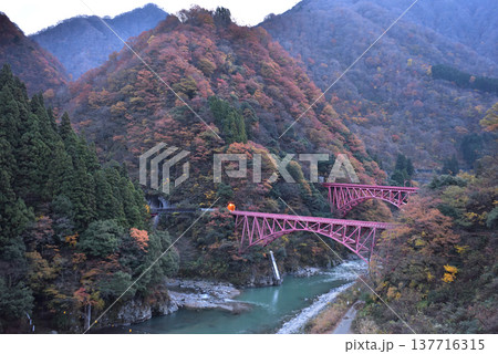 紅葉の黒部渓谷　早朝の山彦橋と新山彦橋 137716315