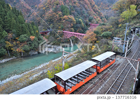 紅葉の黒部渓谷 早朝の山彦橋と新山彦橋 紅葉の黒部渓谷 早朝の山彦橋と新山彦橋 137716316