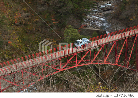 黒部渓谷鉄道 欅平の奥鐘橋 黒部渓谷鉄道 欅平の奥鐘橋 137716460