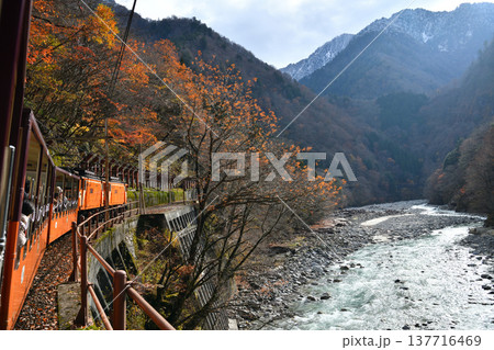 黒部渓谷鉄道 トロッコ電車からの眺望 黒部渓谷鉄道 トロッコ電車からの眺望 137716469