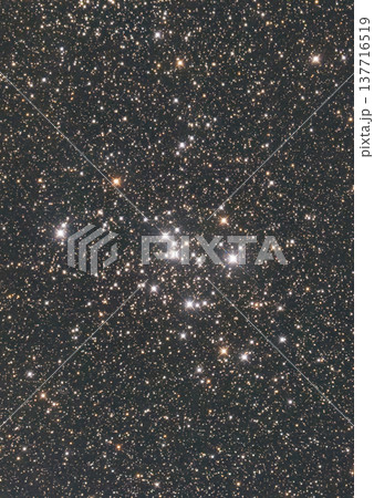 M47 散開星団 2026 137716519