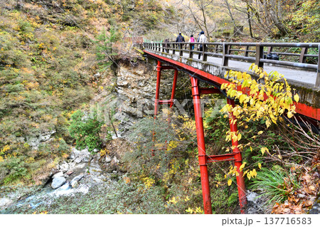 黒部渓谷鉄道 欅平の奥鐘橋 黒部渓谷鉄道 欅平の奥鐘橋 137716583
