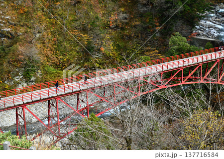 黒部渓谷鉄道　欅平の奥鐘橋 137716584