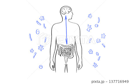 Gut Brain Connection 137716949