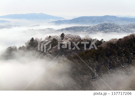 冬の雲海と備中松山城（天空の山城）25407 137717206