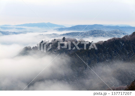 冬の雲海と備中松山城（天空の山城）25412 137717207