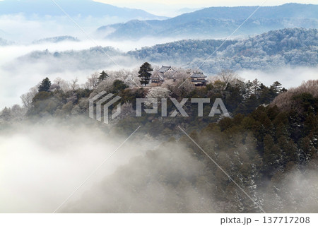 冬の雲海と備中松山城(天空の山城)25430 冬の雲海と備中松山城(天空の山城)25430 137717208