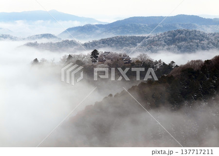冬の雲海と備中松山城（天空の山城）25464 137717211