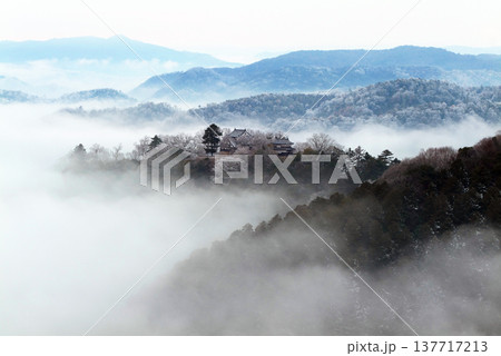 冬の雲海と備中松山城（天空の山城）25474 137717213