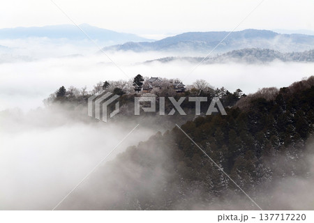 冬の雲海と備中松山城（天空の山城）25530 137717220