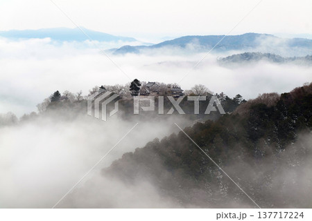 冬の雲海と備中松山城(天空の山城)25563 冬の雲海と備中松山城(天空の山城)25563 137717224
