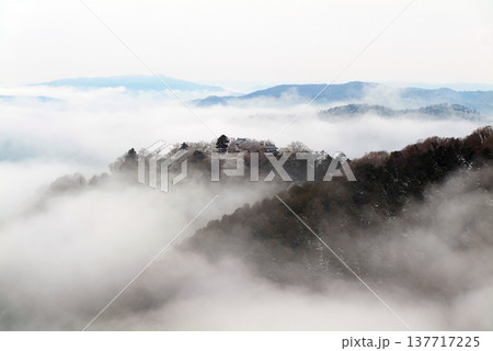 冬の雲海と備中松山城(天空の山城)25566 冬の雲海と備中松山城(天空の山城)25566 137717225