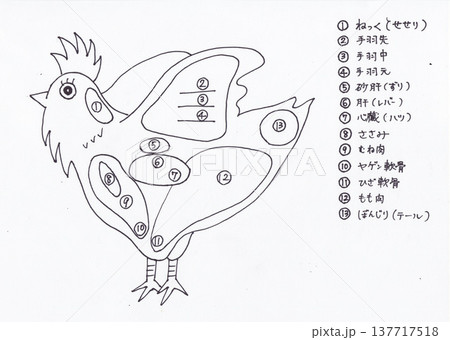 鶏　部位 137717518