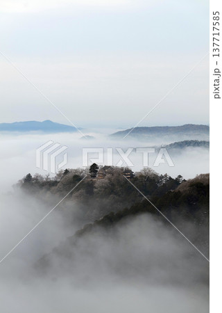 冬の雲海と備中松山城（天空の山城）25073 137717585