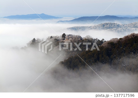 冬の雲海と備中松山城(天空の山城)25134 冬の雲海と備中松山城(天空の山城)25134 137717596