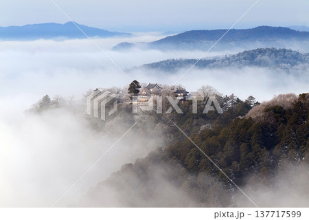 冬の雲海と備中松山城（天空の山城）25154 137717599