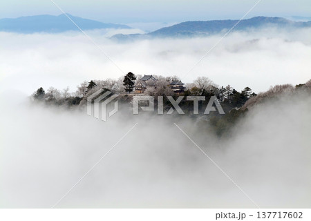 冬の雲海と備中松山城(天空の山城)25169 冬の雲海と備中松山城(天空の山城)25169 137717602