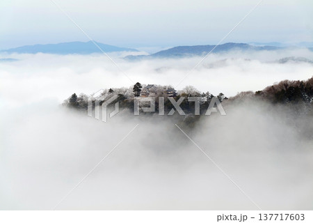 冬の雲海と備中松山城(天空の山城)25173 冬の雲海と備中松山城(天空の山城)25173 137717603