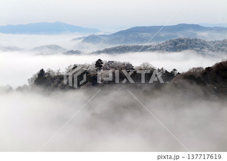 冬の雲海と備中松山城(天空の山城)25330 冬の雲海と備中松山城(天空の山城)25330 137717619