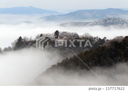 冬の雲海と備中松山城(天空の山城)25350 冬の雲海と備中松山城(天空の山城)25350 137717622