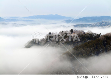 冬の雲海と備中松山城（天空の山城）25374 137717625
