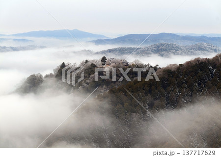 冬の雲海と備中松山城（天空の山城）25394 137717629