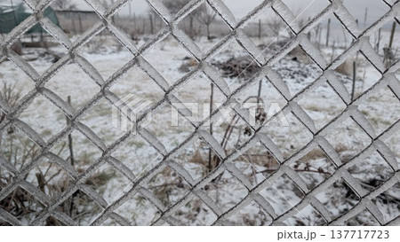 Frosted metal fence encloses snowblanketed open countryside during winter 137717723