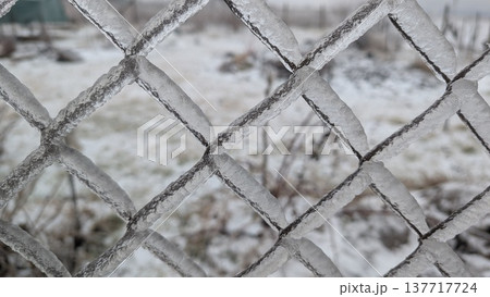 Frozen metal mesh surrounds empty lot with withered twigs 137717724