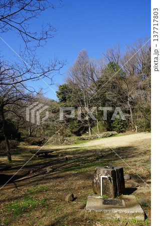 東京都町田市の小山田緑地本園の風景 東京都町田市の小山田緑地本園の風景 137717803