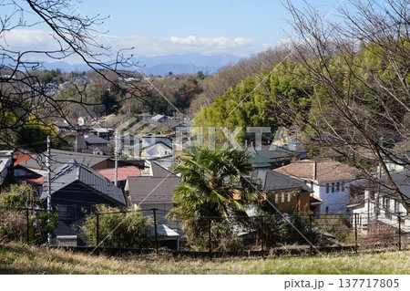 東京都町田市の小山田緑地周辺の風景 137717805