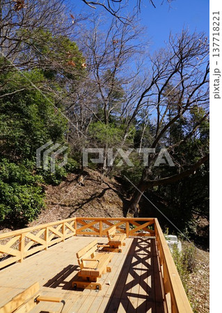 東京都町田市の小山田緑地梅木窪分園のアサザ池周辺の風景 東京都町田市の小山田緑地梅木窪分園のアサザ池周辺の風景 137718221