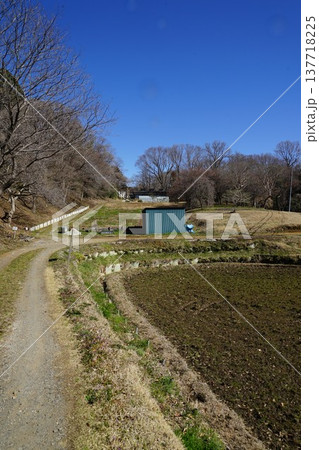 東京都町田市の小山田緑地梅木窪分園のアサザ池周辺の風景 137718225