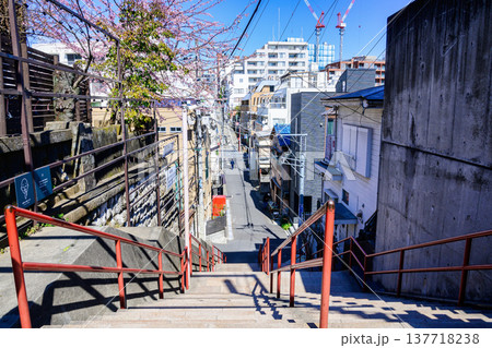 東京都　新宿区　須賀神社　（すがじんじゃ）　参道の男段（男坂）　アニメ君の名は　モチーフ 137718238
