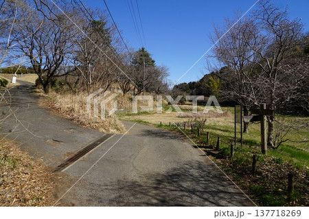 東京都町田市の小山田緑地梅木窪分園のアサザ池周辺の風景 137718269