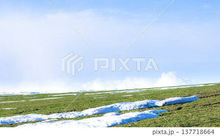 雪が残る早春の北海道美瑛町の丘の上にある小麦畑の風景 137718664