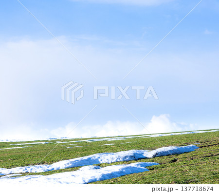 雪が残る早春の北海道美瑛町の丘の上にある小麦畑の風景 137718674