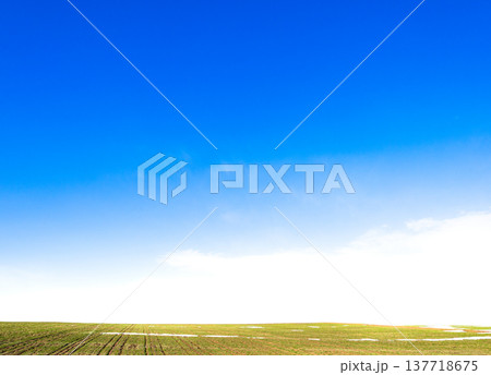 雪が残る早春の北海道美瑛町の丘の上にある小麦畑の風景 雪が残る早春の北海道美瑛町の丘の上にある小麦畑の風景 137718675