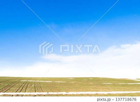 雪が残る早春の北海道美瑛町の丘の上にある小麦畑の風景 雪が残る早春の北海道美瑛町の丘の上にある小麦畑の風景 137718676