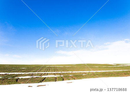 雪が残る早春の北海道美瑛町の丘の上にある小麦畑の風景 雪が残る早春の北海道美瑛町の丘の上にある小麦畑の風景 137718688