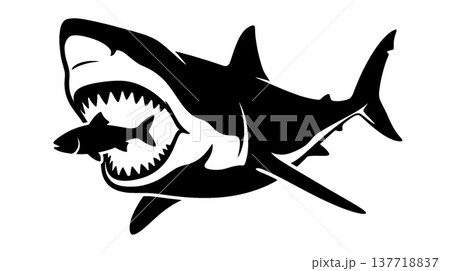 捕食するサメと魚のシルエット 137718837