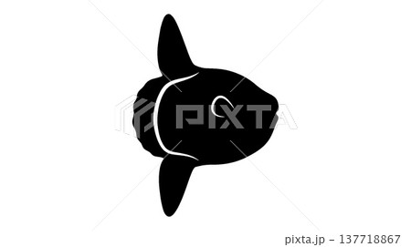 マンボウのシルエットイラスト マンボウのシルエットイラスト 137718867