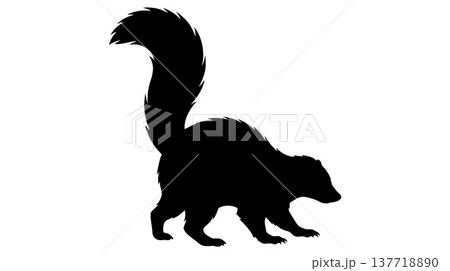スカンクのシルエットイラスト 137718890